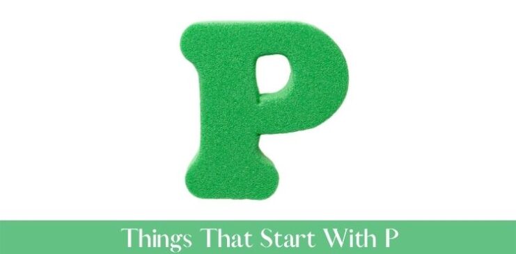 things that start with p