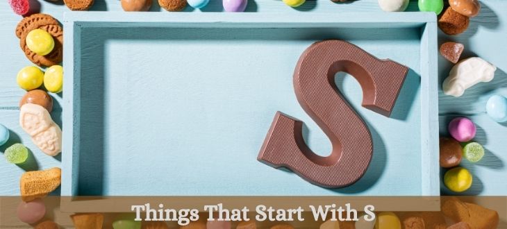 things that start with s